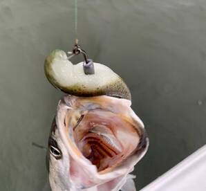 Mount Pleasant Report Photo 2