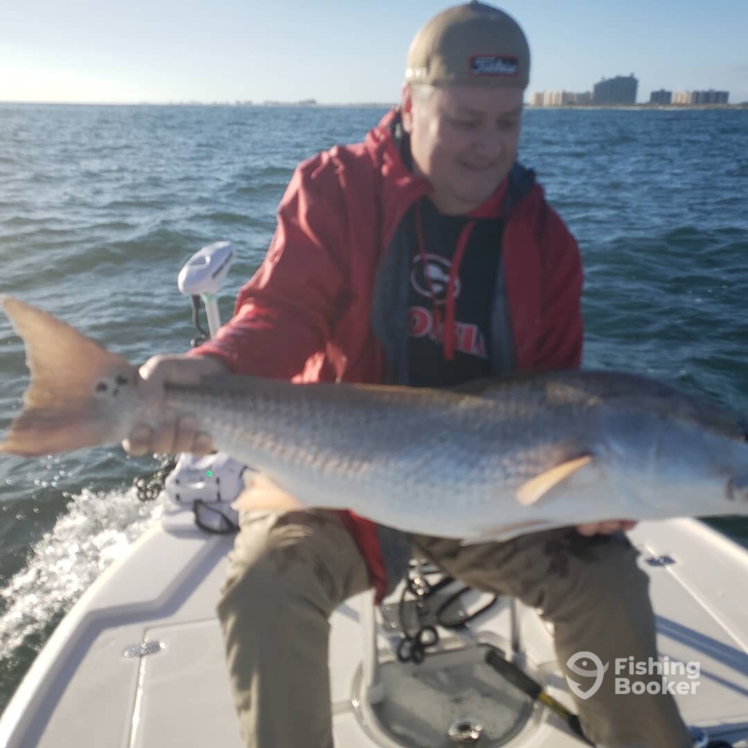 Port Orange Report Photo 0