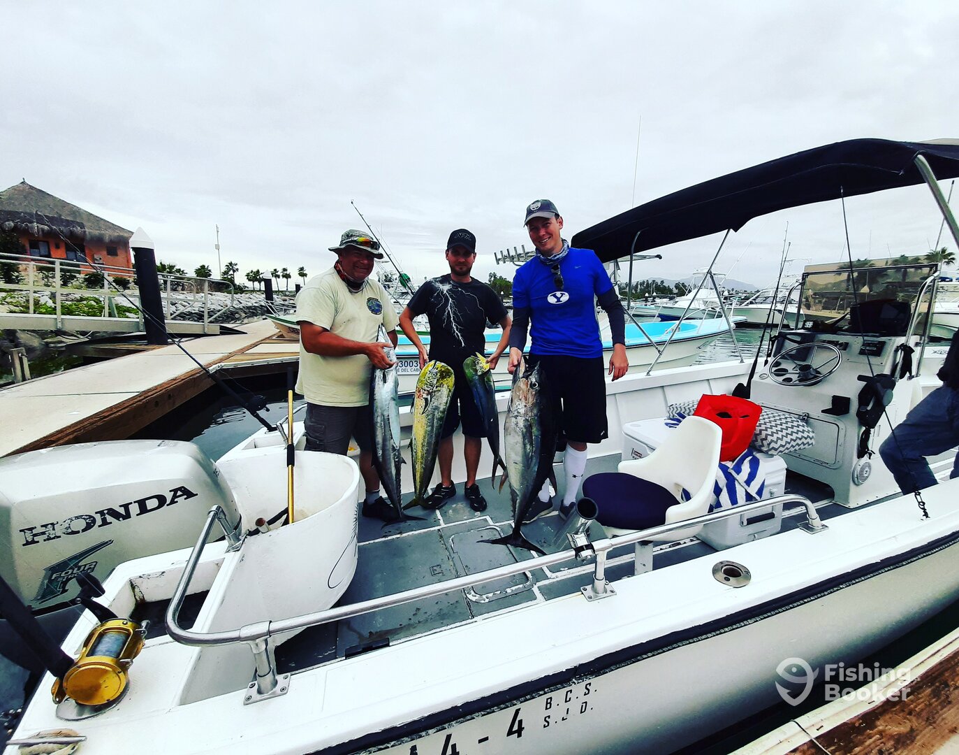 San Jose del Cabo Report Photo 0