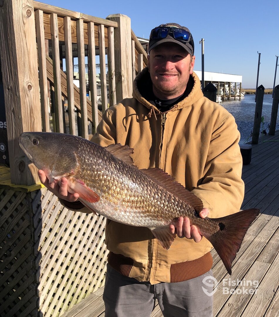 New Orleans Report Photo 0