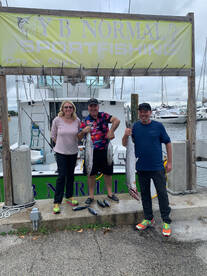 Dania Beach Report Photo 1