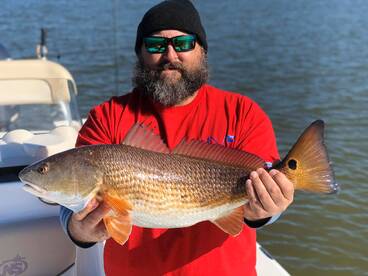 New Orleans Report Photo 1