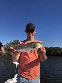 Trout and Reds have been on fire 