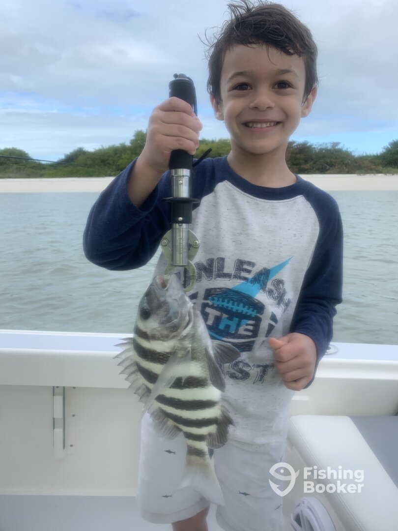 Marco Island Report Photo 0