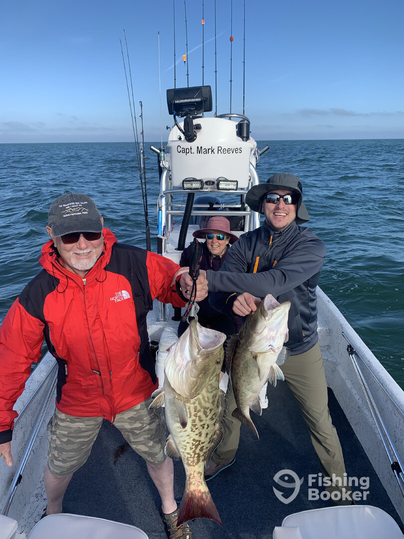 Crystal River Report Photo 0