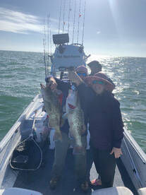 Crystal River Report Photo 1