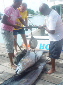 Grand Baie Report Photo 1