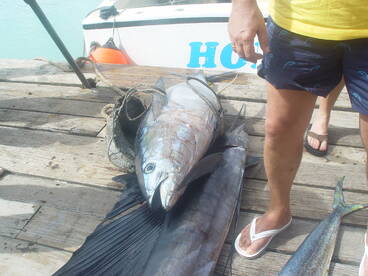 Grand Baie Report Photo 2