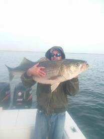 Come catch a monster rockfish with us.