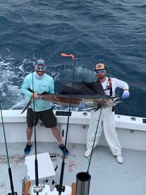 Dania Beach Report Photo 1