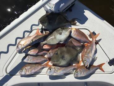 Pensacola Report Photo 1