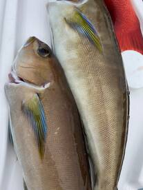 San Diego Report Photo 2