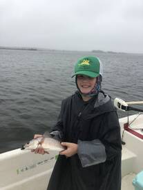 Crystal River Report Photo 1