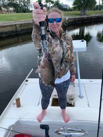 Port Charlotte Report Photo 1