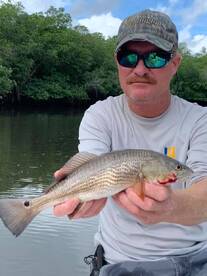 Port Charlotte Report Photo 2