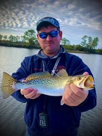 Great start to the new year. 