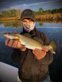 Ocean Springs Report Photo 2