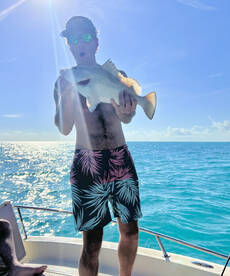 New years eve patch reefs  