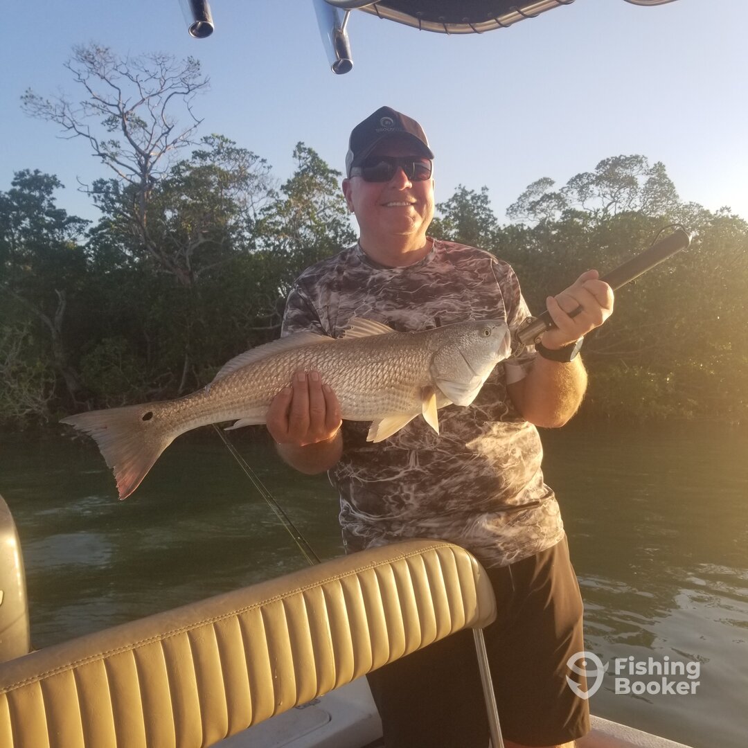 Bonita Springs Report Photo 0