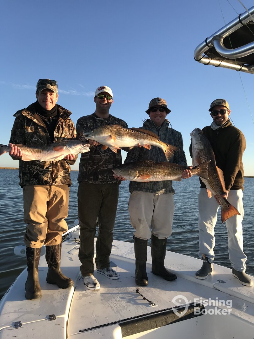 Venice Report Photo 0