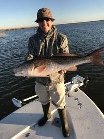 Venice Report Photo 2