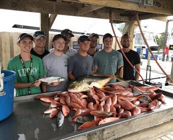 Orange Beach Report Photo 2