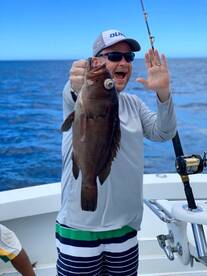 A Nice Grouper