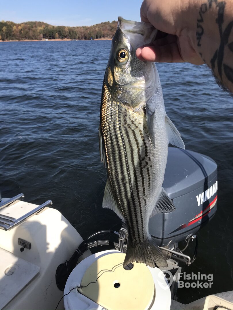 Cumming Report Photo 0