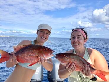 Puerto Aventuras Report Photo 2