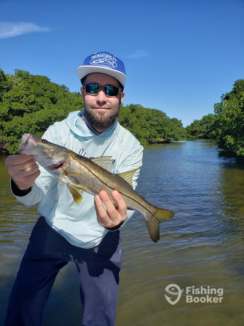 St. Petersburg Report Photo 0