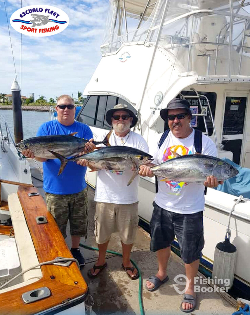 Mazatlán Report Photo 0