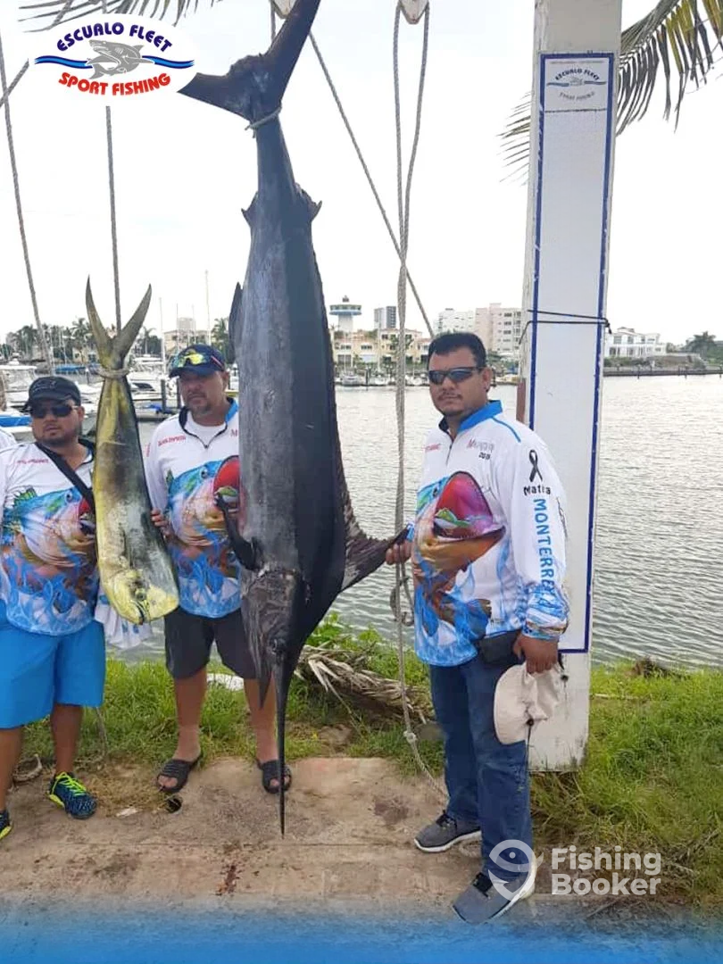 Mazatlán Report Photo 0