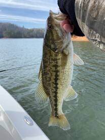 Cumming Report Photo 2