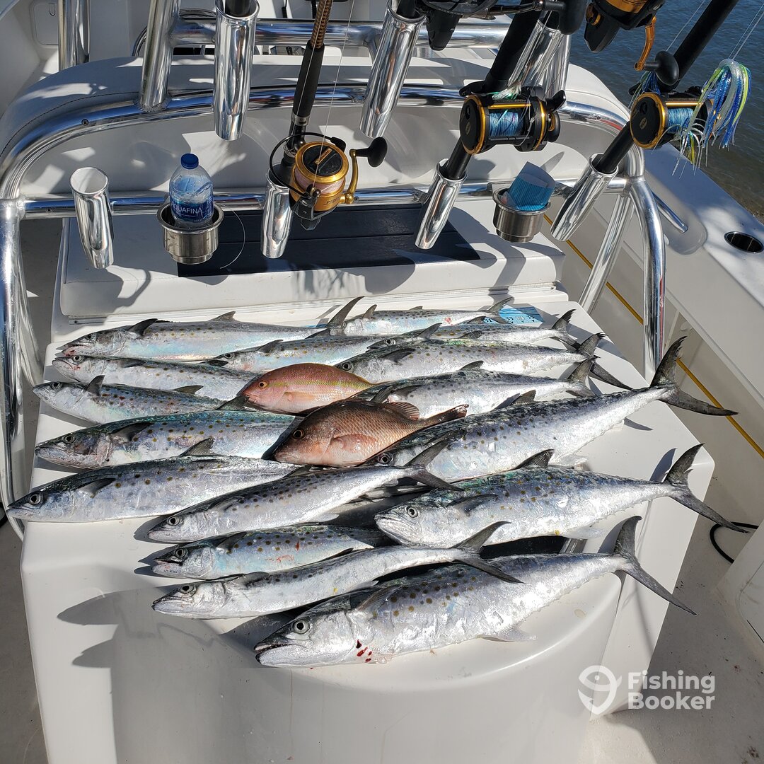 Jensen Beach Report Photo 0