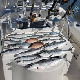 January fishing report