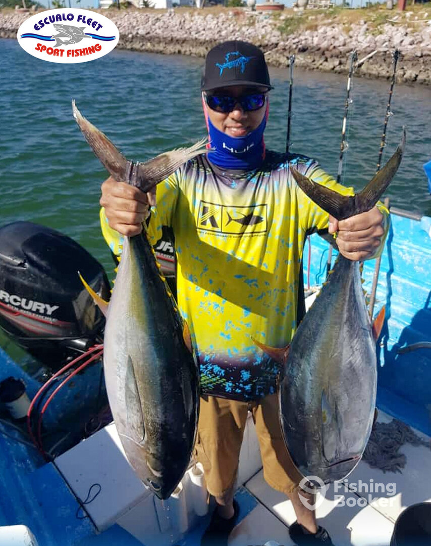 Mazatlán Report Photo 0