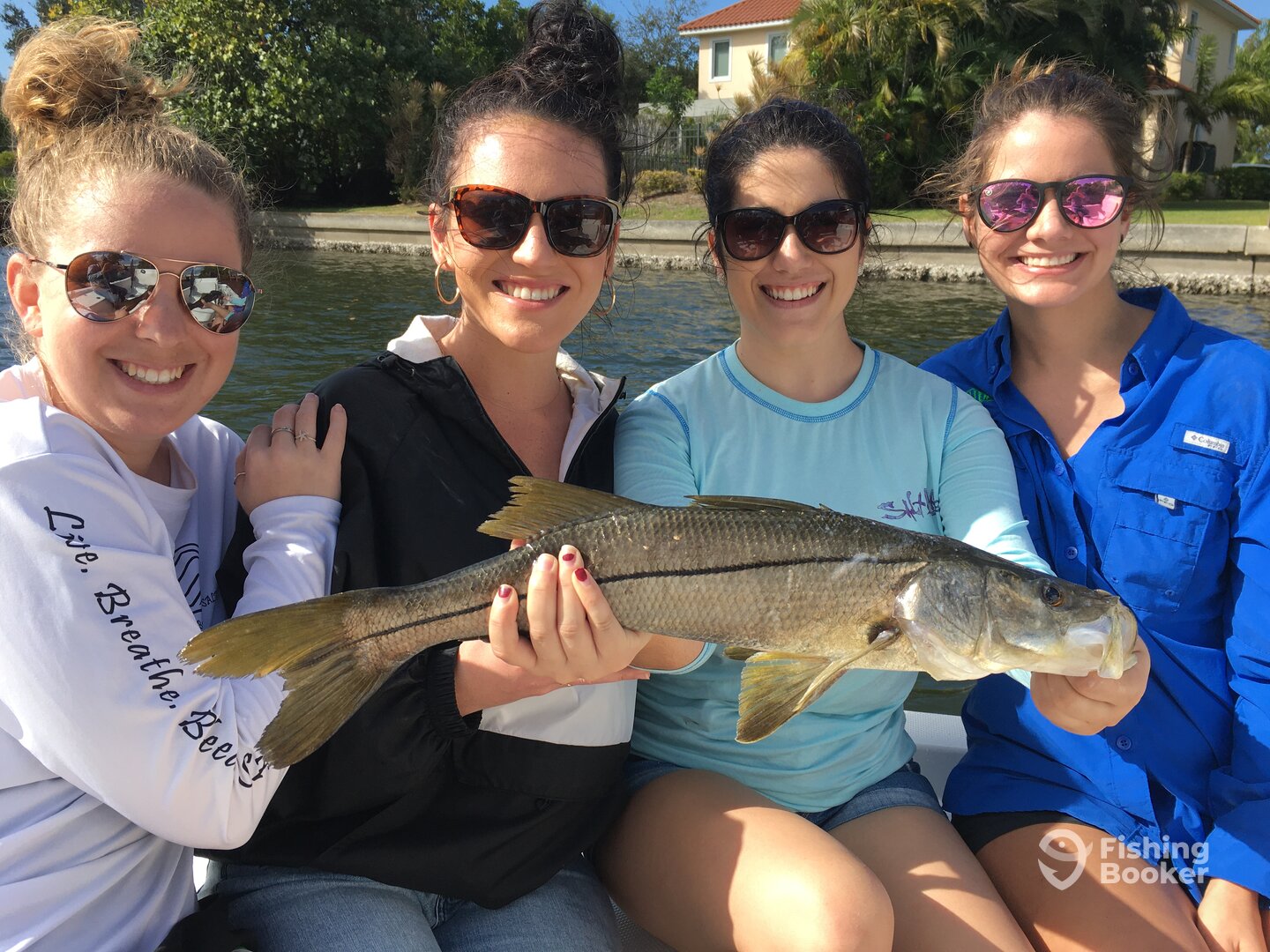 Sarasota Report Photo 0