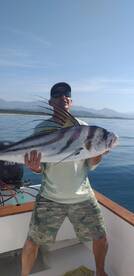 Zihuatanejo Report Photo 2