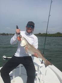 Prefrontal extravaganza 