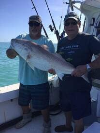 Port Canaveral Report Photo 1