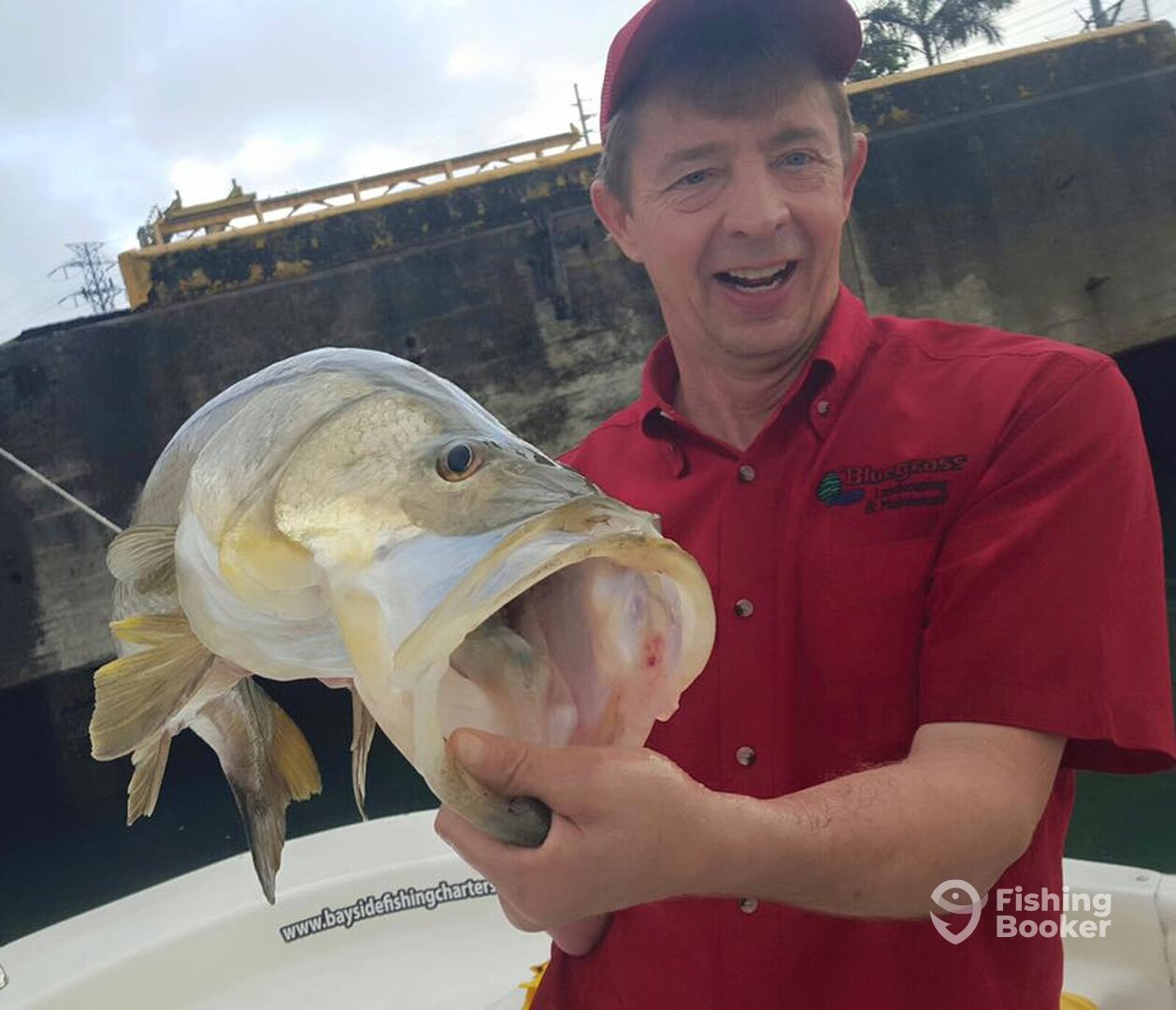 Monster snook at San Juan, Puerto Rico