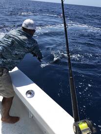 Herradura Report Photo 2