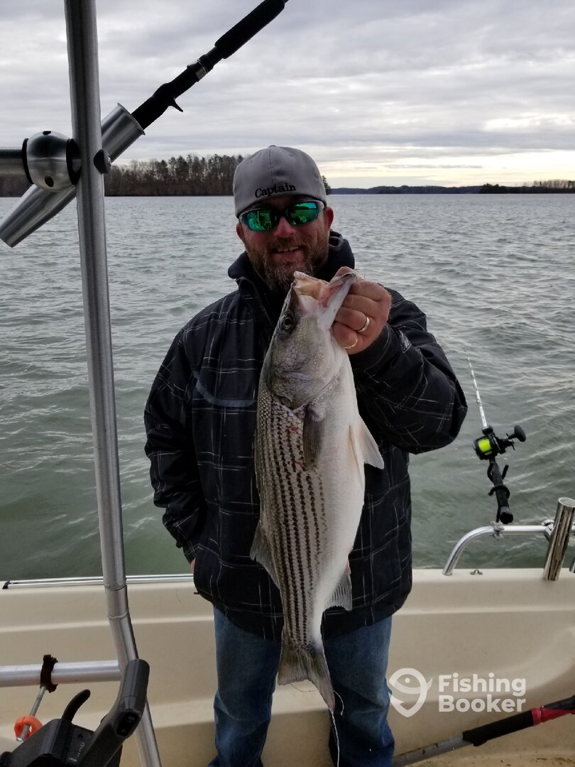 Cumming Report Photo 0