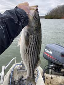 Cumming Report Photo 2