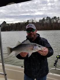 Cumming Report Photo 1