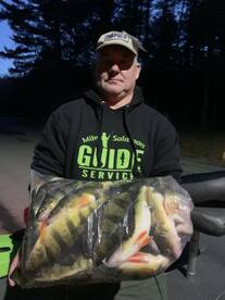 Wallenpaupack Perch bite is Strong