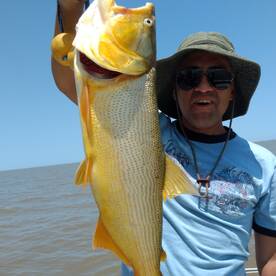 Tigre Report Photo 1