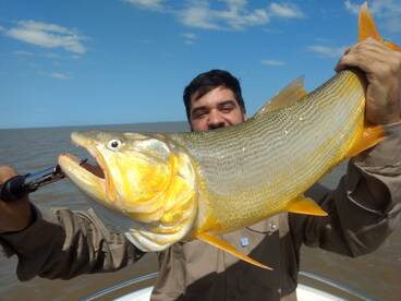 Tigre Report Photo 2