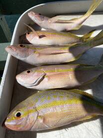 Marathon Report Photo 2