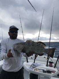 Limit of Snappers, Grouper Insane Bite a